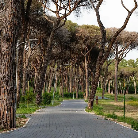 Glamping Rome Lyxtält Ostia Antica